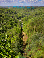 Springtime Red River Gorge Daniel Boone National Forest